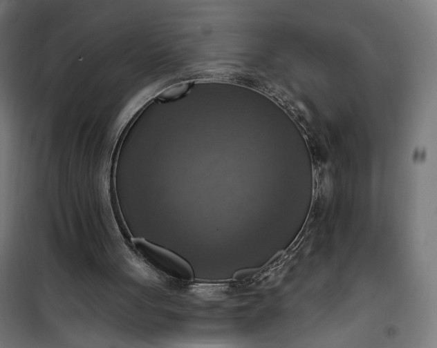 X0000100500051200806201724