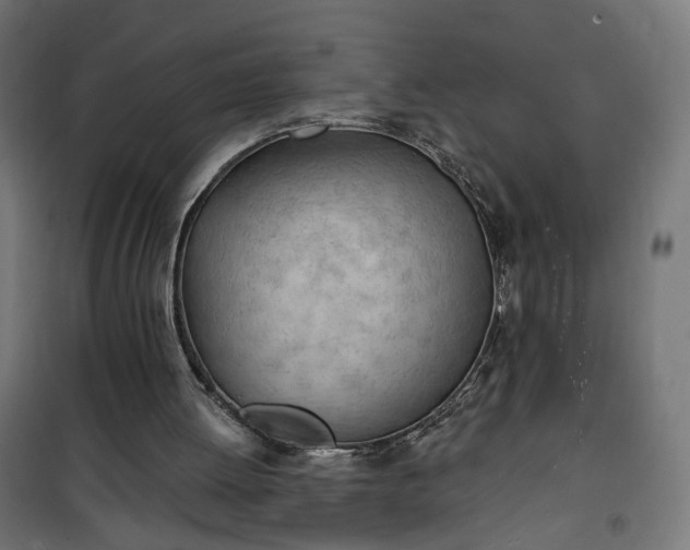 X0000100500052200806201724