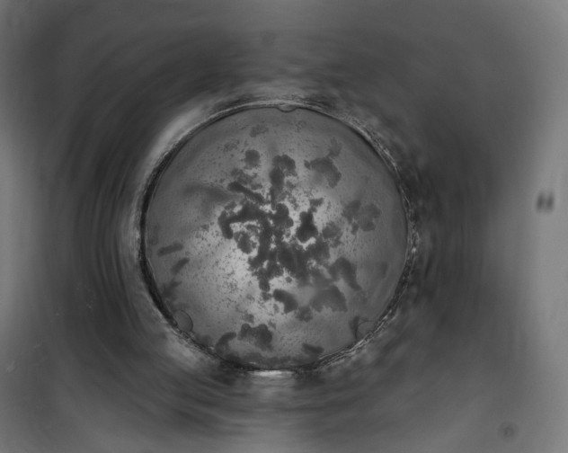 X0000100500053200806201724