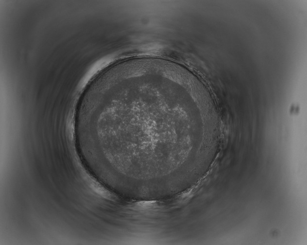 X0000100500054200806201724