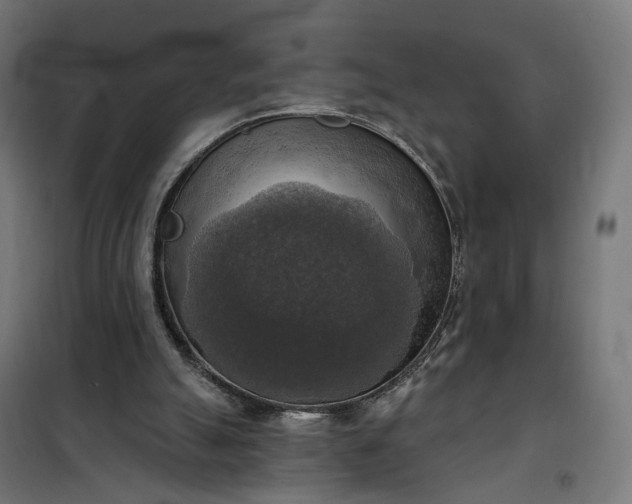 X0000100500055200806201724