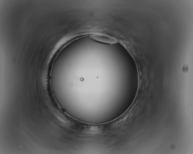 X0000100500056200806201724