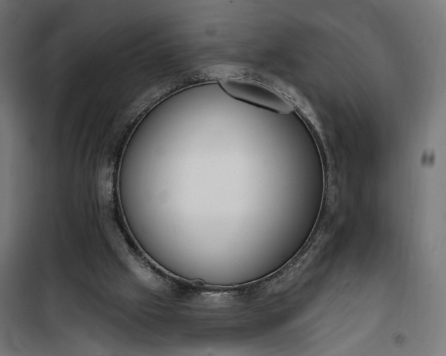 X0000100500057200806201724