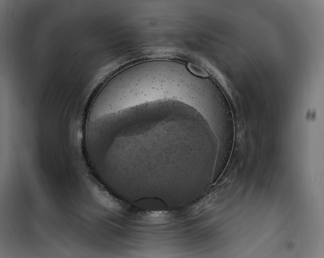 X0000100500059200806201724