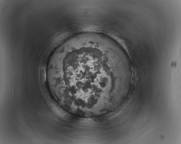 X0000100500061200806201724