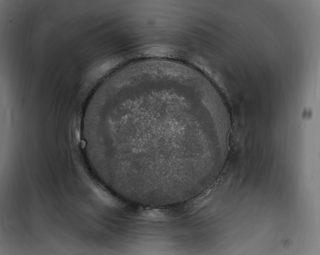 X0000100500062200806201724