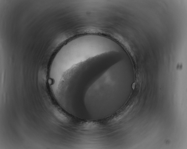 X0000100500063200806201724