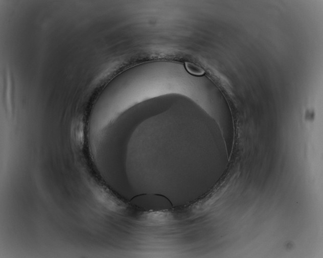 X0000100500067200806201725