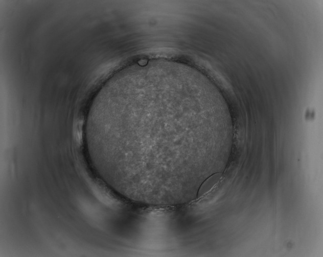 X0000100500070200806201725