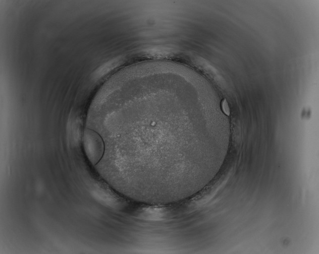 X0000100500071200806201725