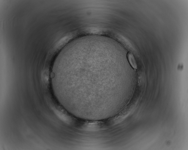 X0000100500072200806201725