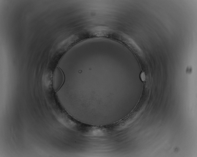 X0000100500073200806201725