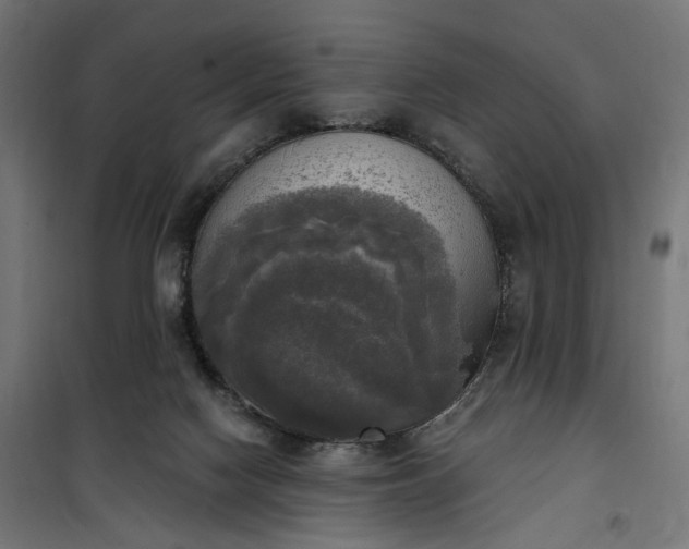 X0000100500074200806201725