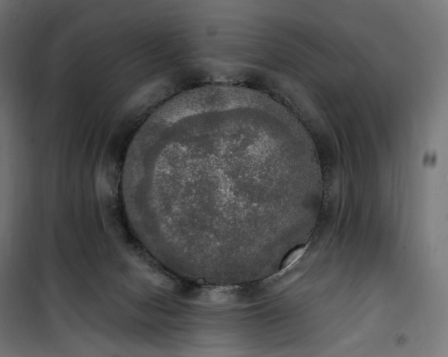 X0000100500078200806201725