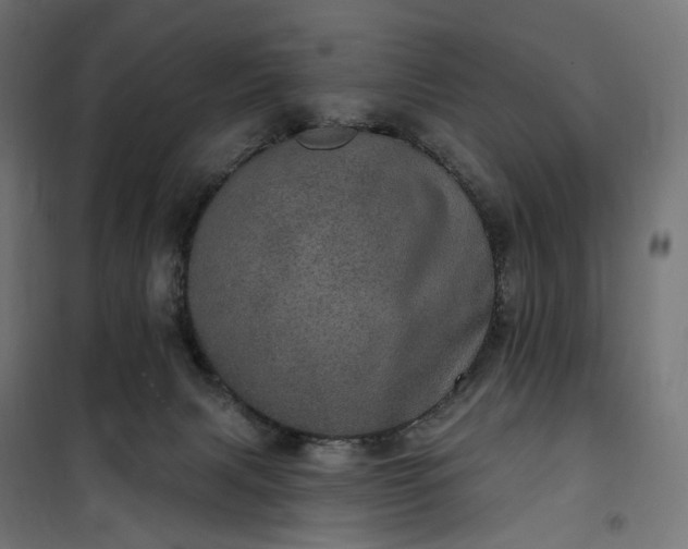 X0000100500079200806201725