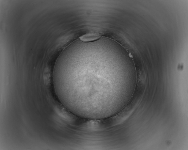 X0000100500080200806201725