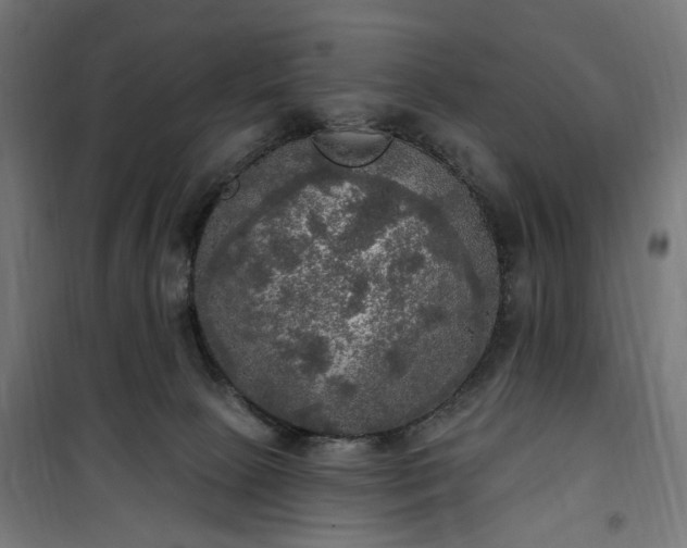 X0000100500081200806201725