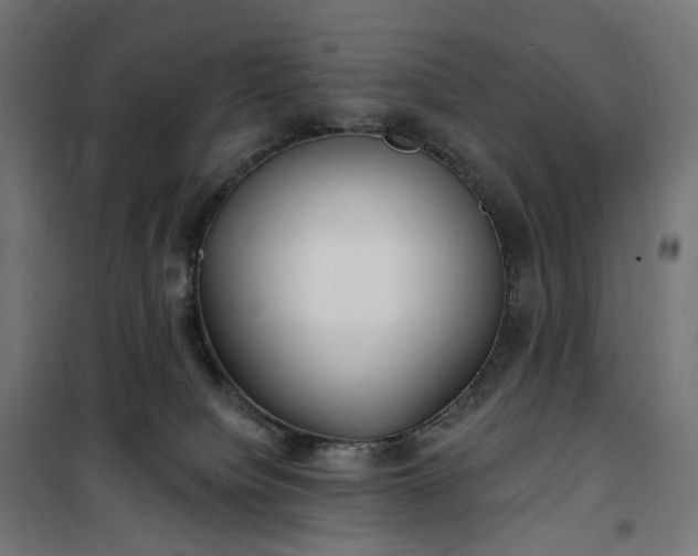 X0000100500084200806201725