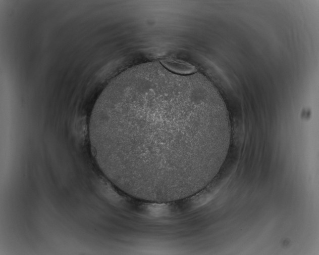 X0000100500085200806201725