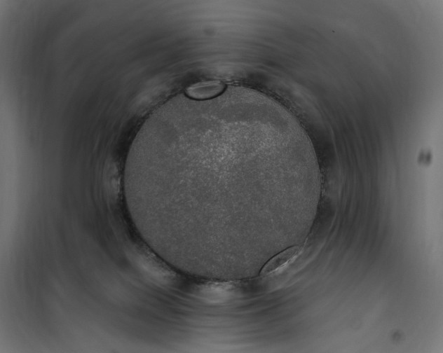 X0000100500086200806201725