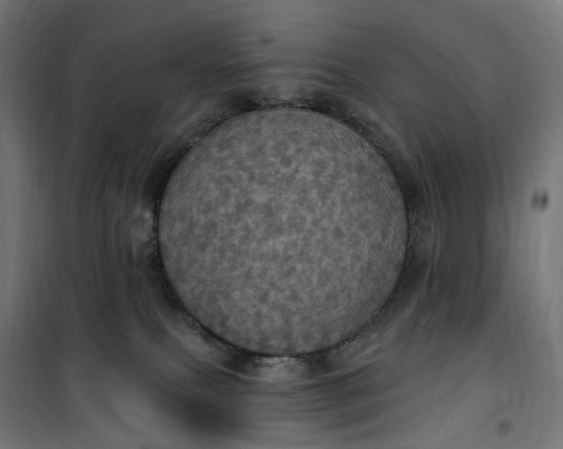 X0000100500087200806201725