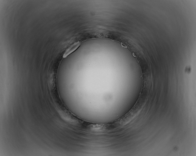 X0000100500088200806201725