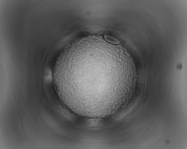 X0000100500089200806201725