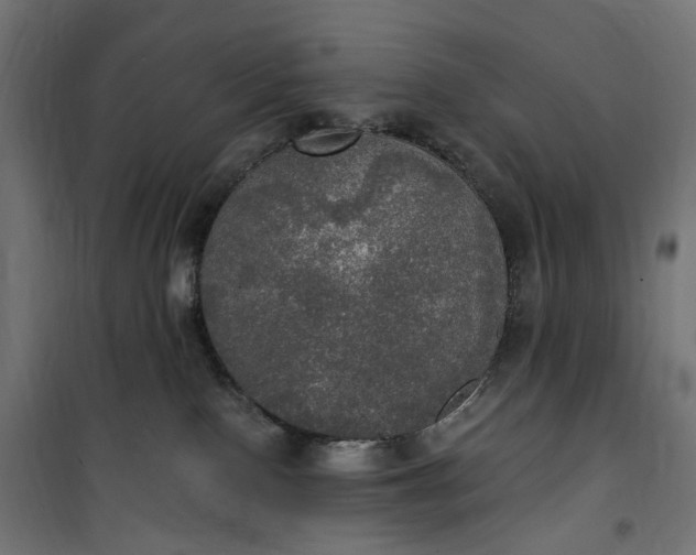 X0000100500090200806201725