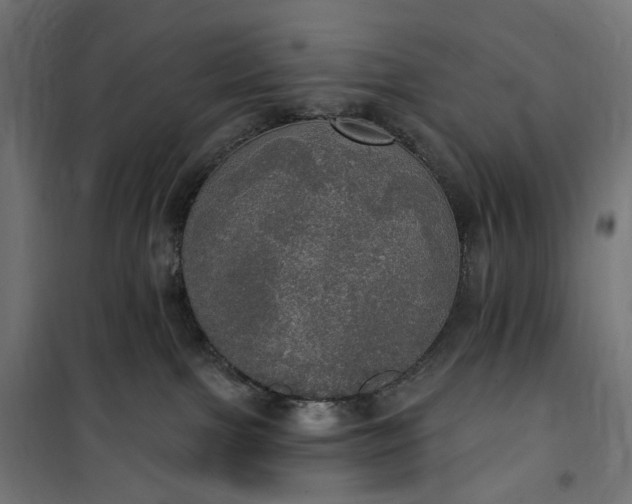 X0000100500091200806201725