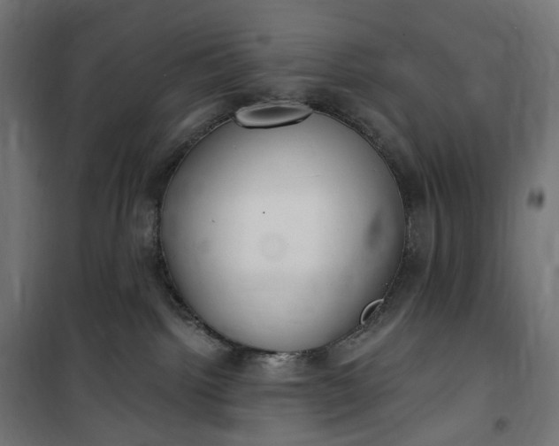 X0000100500092200806201725