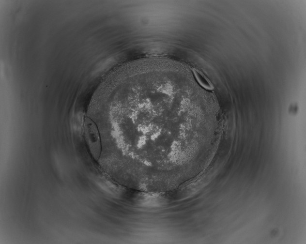 X0000100500093200806201725