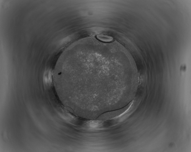 X0000100500094200806201725