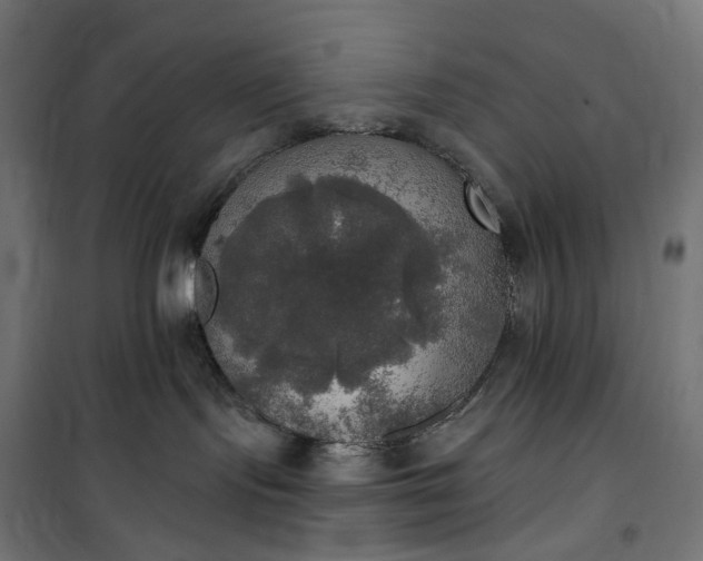 X0000100500095200806201725