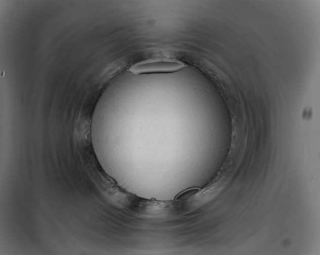 X0000100500096200806201725