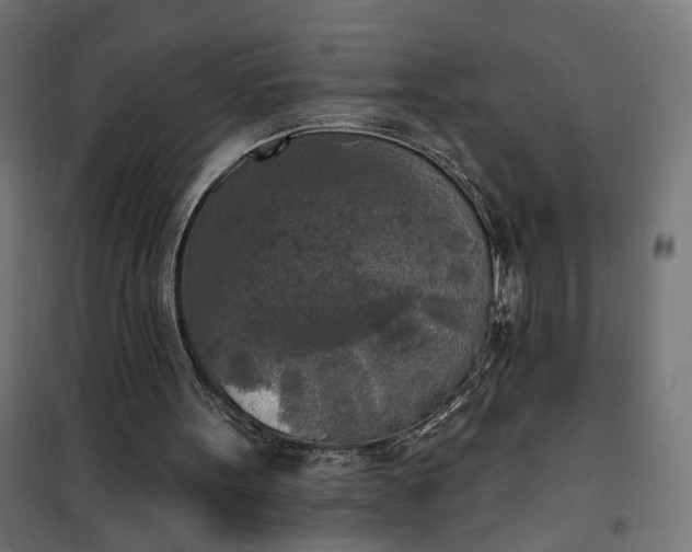 X0000100500099200806201724