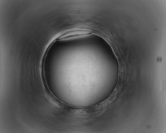 X0000100500100200806201724