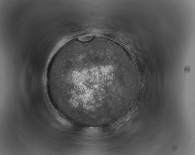 X0000100500102200806201724