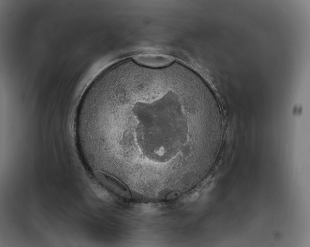 X0000100500103200806201724