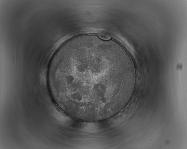 X0000100500107200806201724