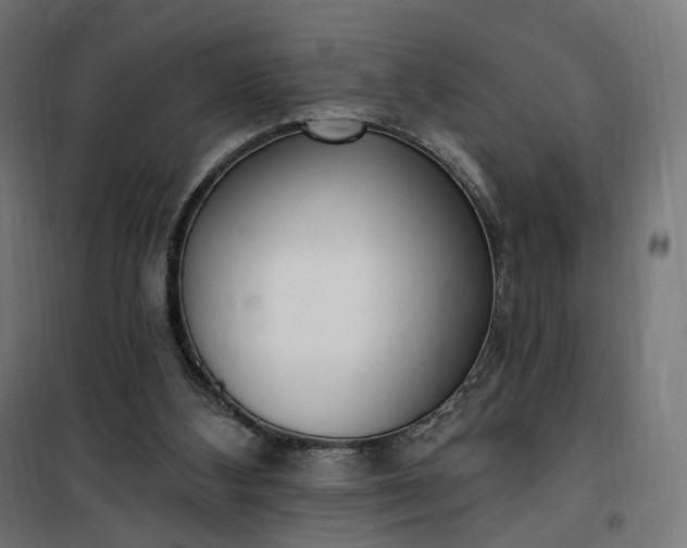 X0000100500108200806201724