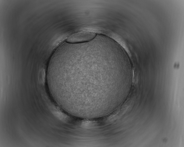 X0000100500109200806201724