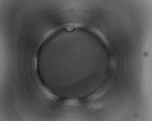 X0000100500110200806201724