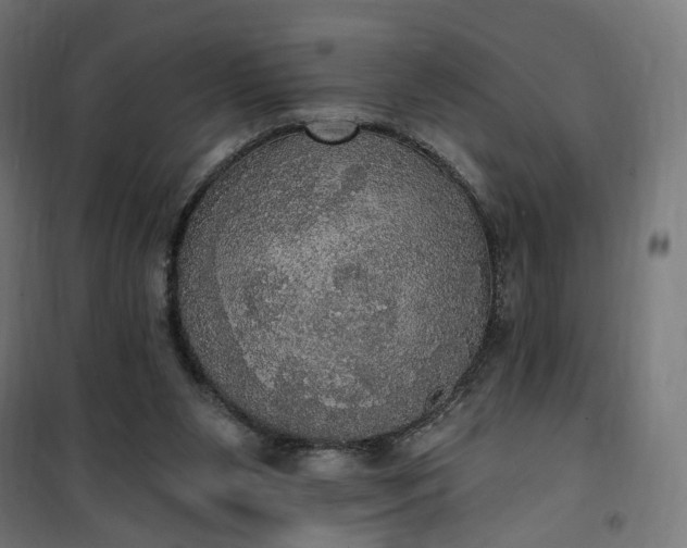 X0000100500111200806201724