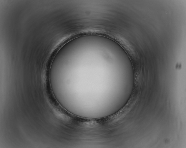 X0000100500112200806201724