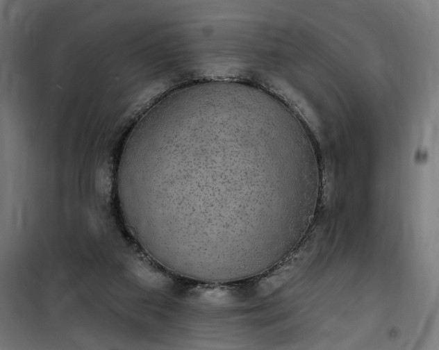 X0000100500113200806201724