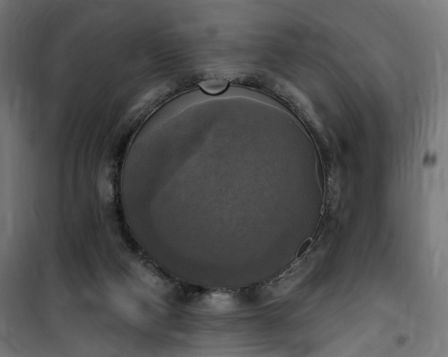 X0000100500114200806201724