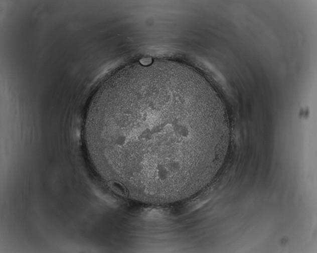 X0000100500115200806201724