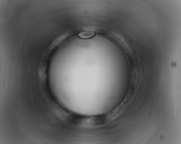 X0000100500116200806201724