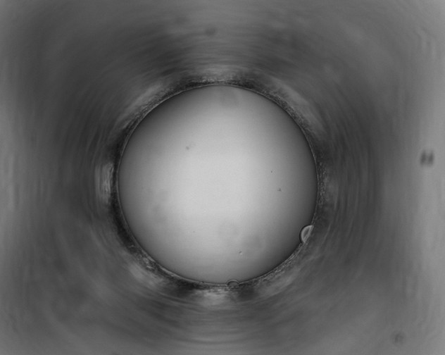 X0000100500118200806201724