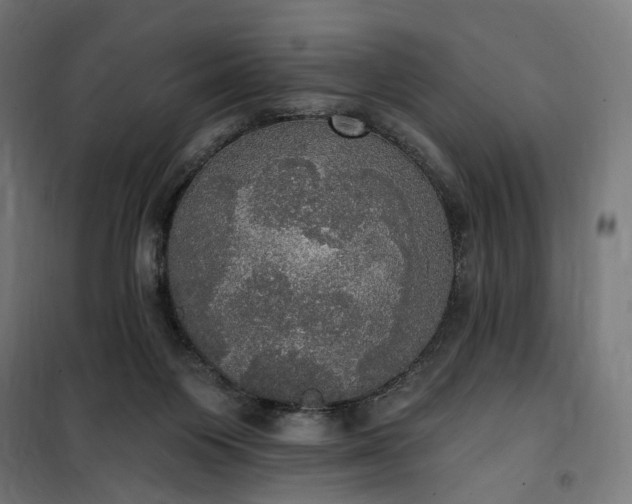 X0000100500119200806201724